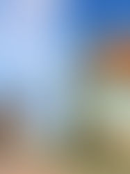 Մայր Աթոռը դատապարտել է Արցախի հոգևոր և մշակութային ժառանգության ոչնչացումը