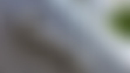 Google-ը ԱՄՆ վիզա ստացող աշխատակիցներին խորհուրդ է տվել խուսափել միջազգային ճանապարհորդություններից․ Business Insider