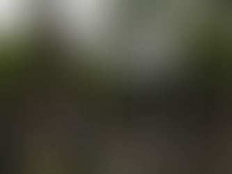 «Թաթոյան» հիմնադրամ. Կիրանց գյուղ տանող «այլընտրանքային» ճանապարհն անվտանգ չէ, գյուղը գտնվում է ադրբեջանական թիրախի ներքո