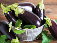 Ու՞մ է հակացուցված սմբուկը
