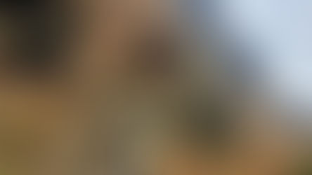 Viva-ն միանում է քարայրային թանգարանի ստեղծմանը