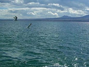 Ինչպիսին է Սևանա լճի առափնյա հատվածում ջրի միջին ջերմաստիճանը