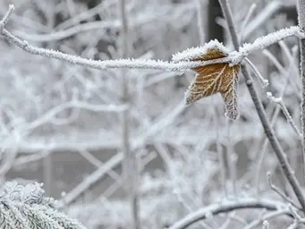 Ինչ եղանակ սպասել առաջիկա օրերին