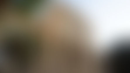 Ադրբեջանն ընդունել է ԱՄՆ նախագահի՝ Գազայի «Խաղաղության խորհրդի» հիմնադիր անդամ դառնալու հրավերը. ԱԳՆ