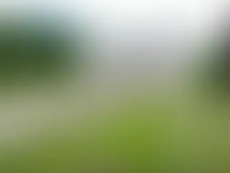 Ոսկեպարի սահմանային տարածքում ականի վրա կենդանիներ են պայթել