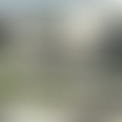 ԱՄՆ-ը տարհանում է Ադանայի հյուպատոսության անձնակազմի մի մասը՝ Իրանի շուրջ ստեղծված իրավիճակի պատճառով