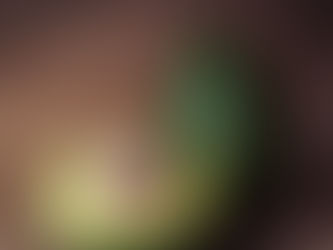 Օրական 140 գրամ ավոկադոն նվազեցնում է ցածր խտության լիպոպրոտեինների խոլեստերինի մակարդակը։․ CRFSN