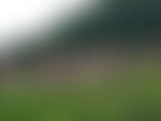 «Հրապարակ». Փաշինյանները որտեղ են նշել Մայրության եւ գեղեցկության տոնը