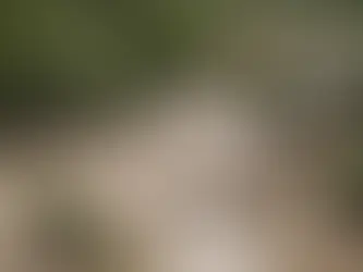 ՆԳՆ-ն իրազեկում է, թե Լոռու և Տավուշի մարզերի աղետից որ վնասներ են ենթակա փոխհատուցման