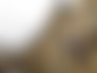 Լյուքսեմբուրգի Պատգամավորների պալատը Բաքվnւմ պահվnղ հայերի մասին բանաձև է ընդունել