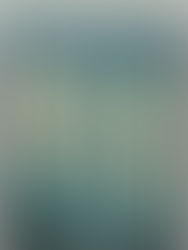 O suicídio e sua prevenção (José Manuel Bertolote)