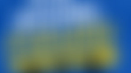 The Rehabilitation Timeline For Physiotherapist