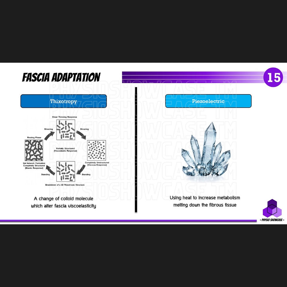 Thumbnail: Fundamental Fascia Integration (2023)
