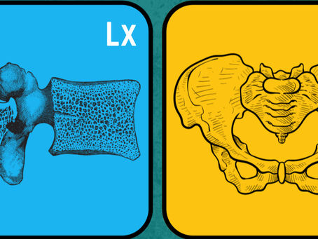 Secret Of The Spine+ (SOS+)