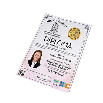 LB_Diploma 3.png