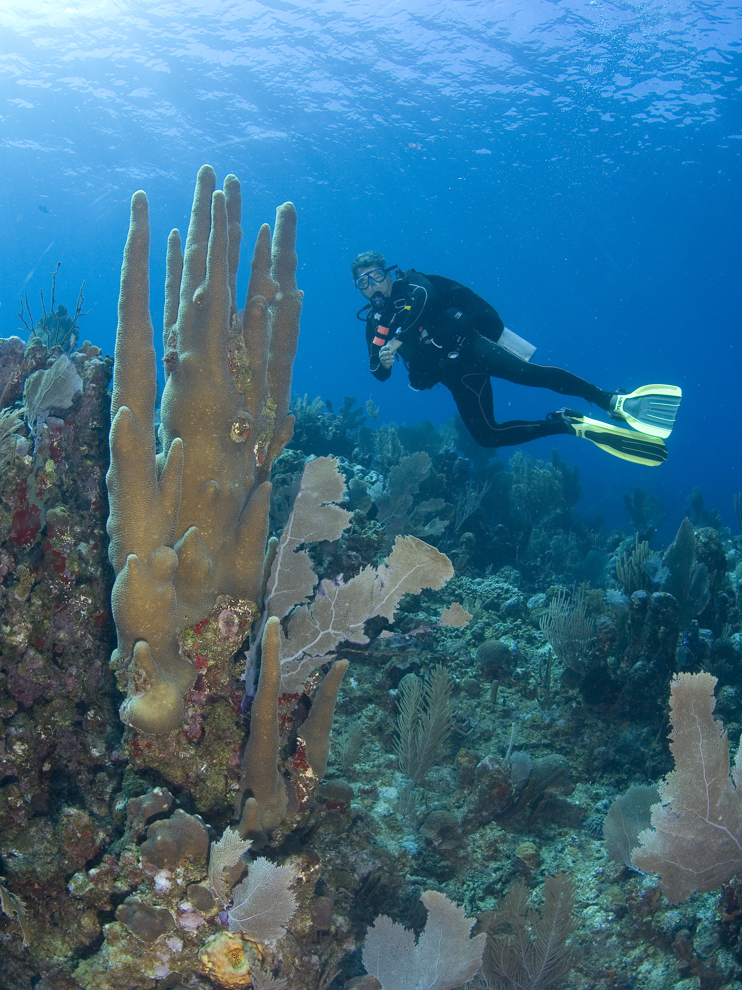 Dive Shop Naples Fl SCUBAdventures United States