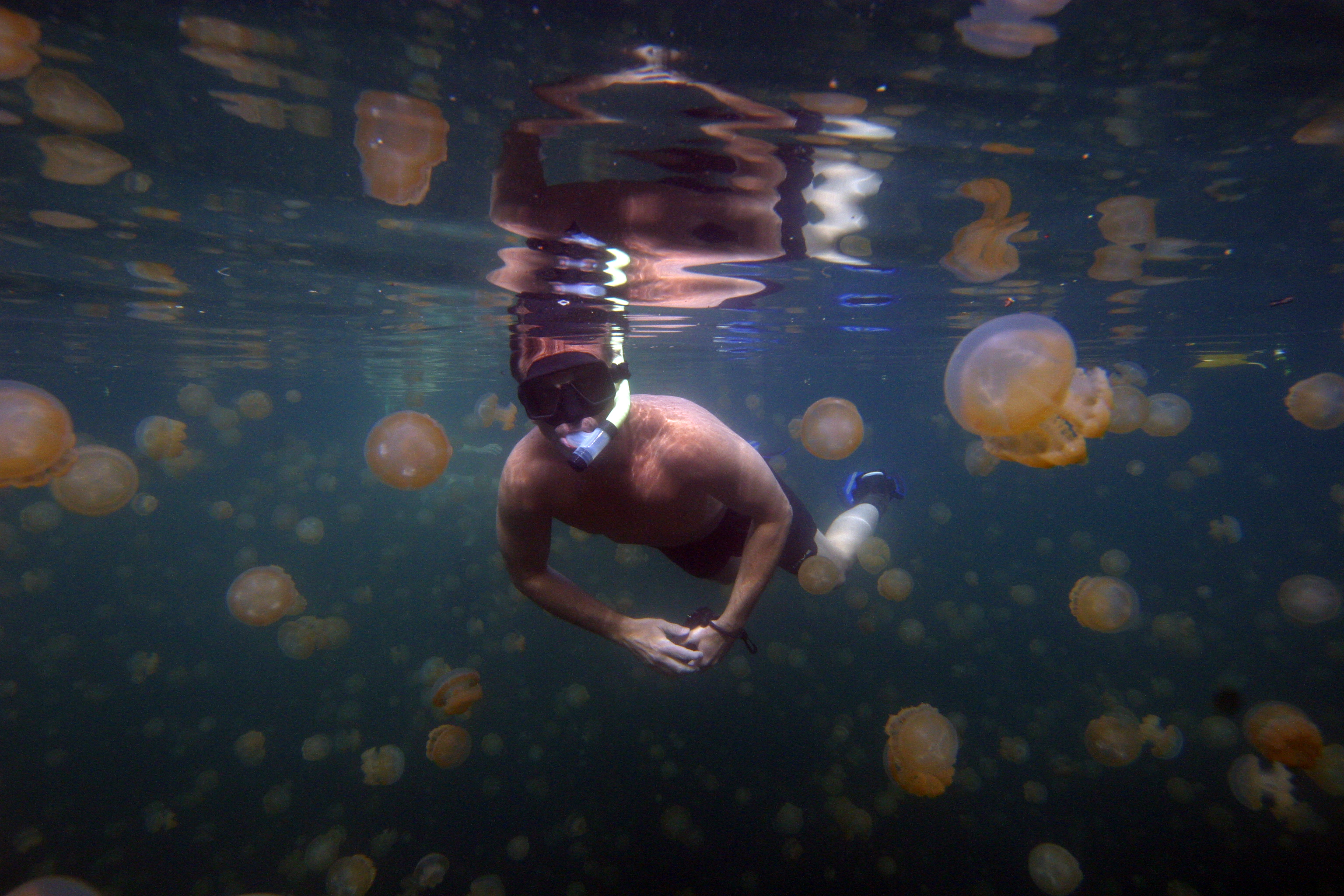 Dive Shop Naples Fl SCUBAdventures United States