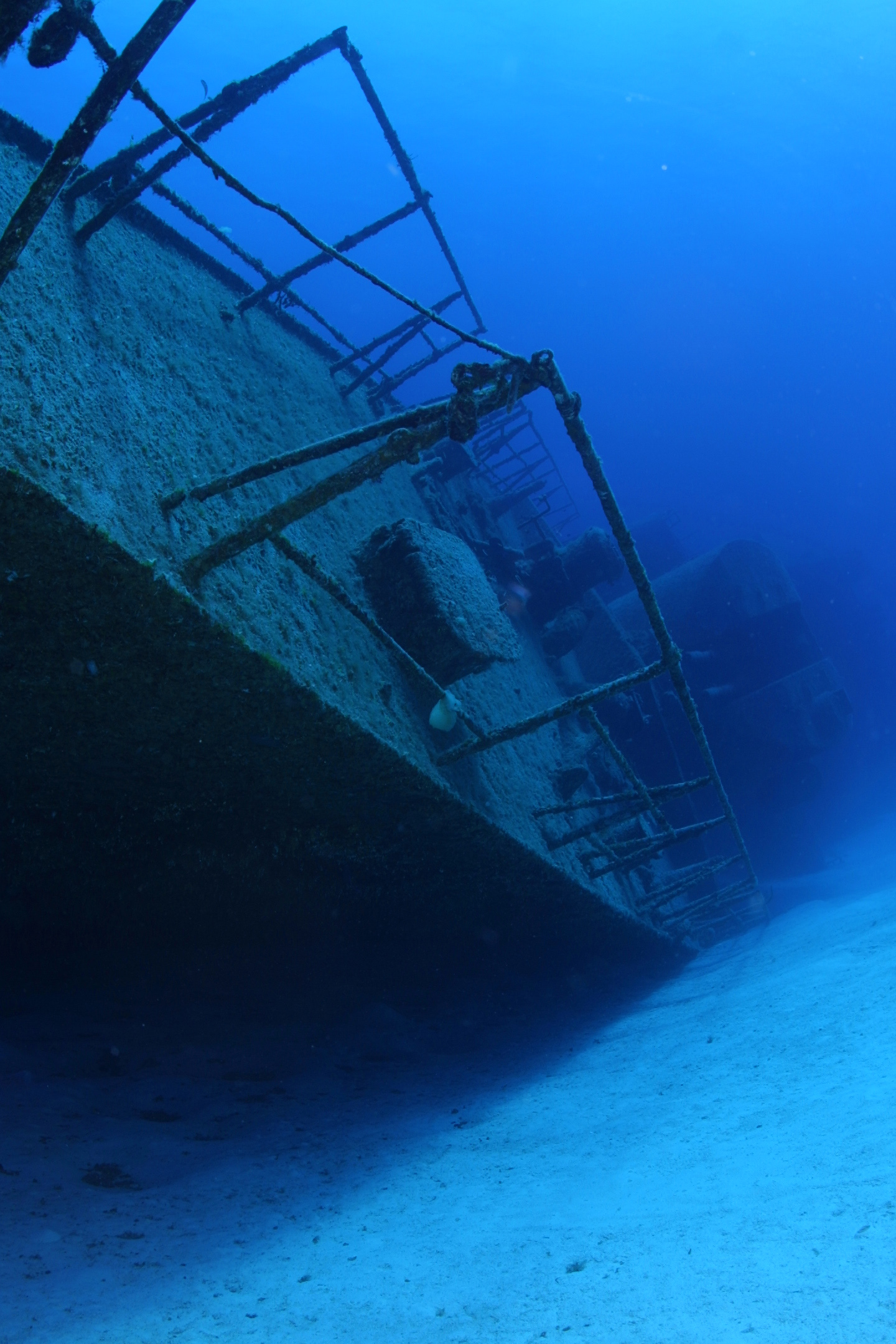 Dive Shop Naples Fl SCUBAdventures United States