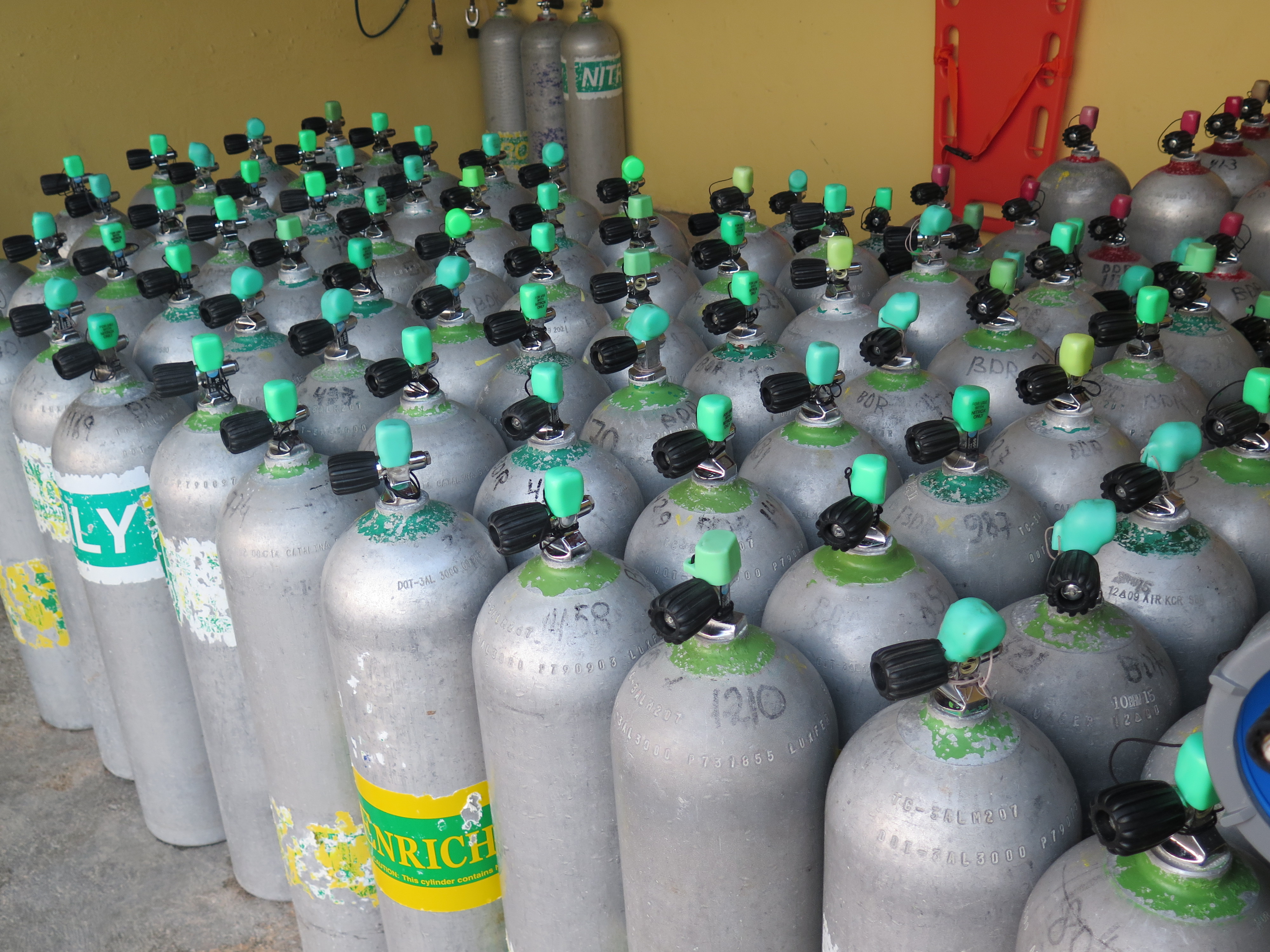 Dive Shop Naples Fl SCUBAdventures United States