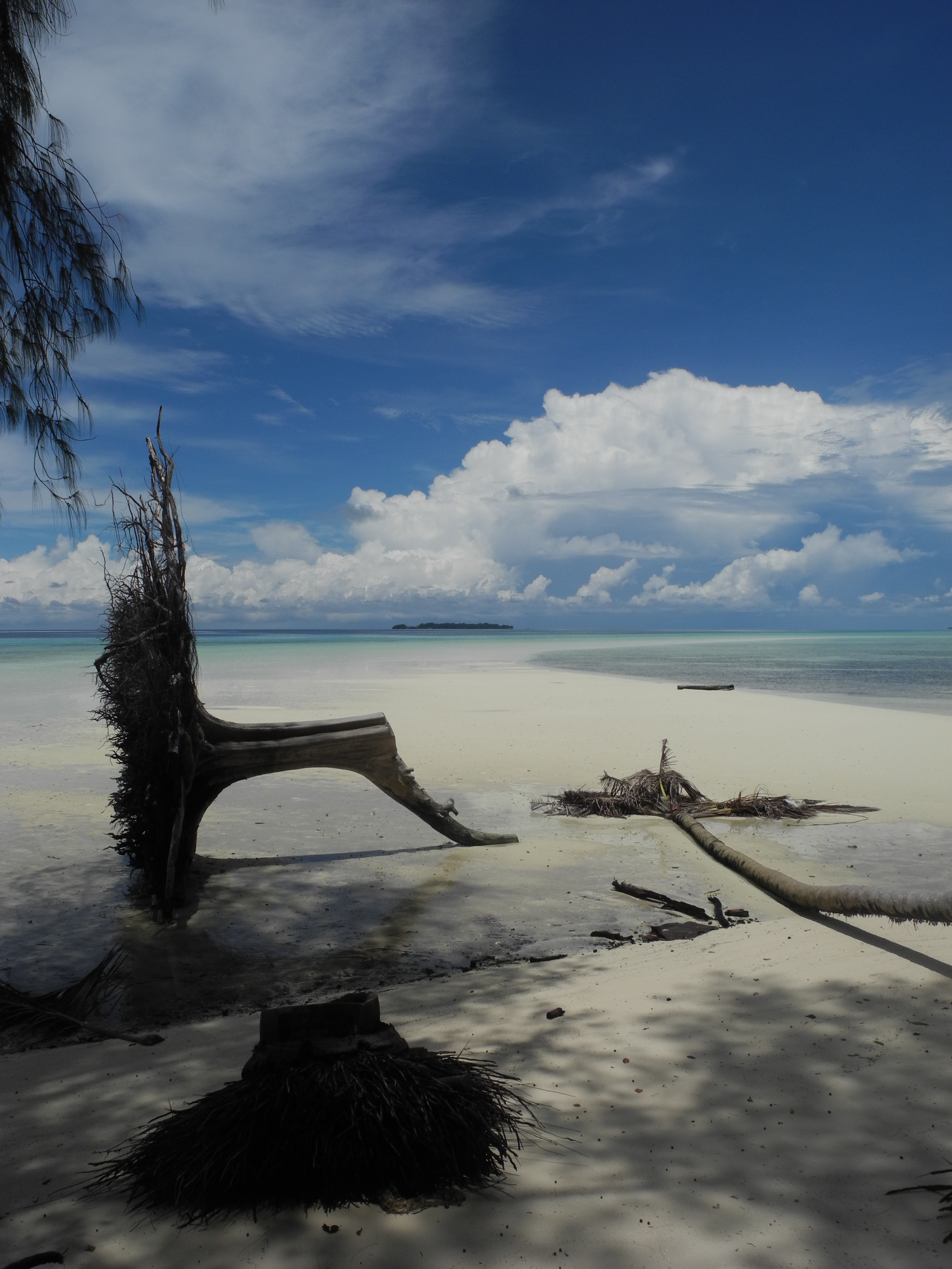Dive Shop Naples Fl SCUBAdventures United States