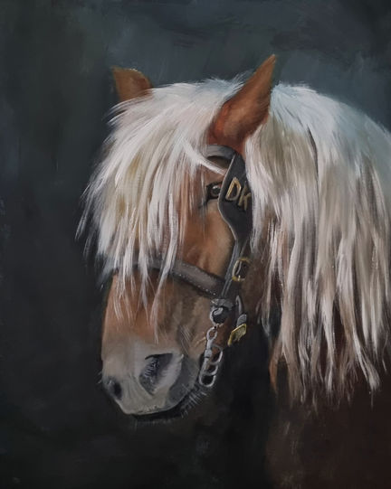 "Belgisch trekpaardenhoofd 1"