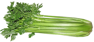 celery.png