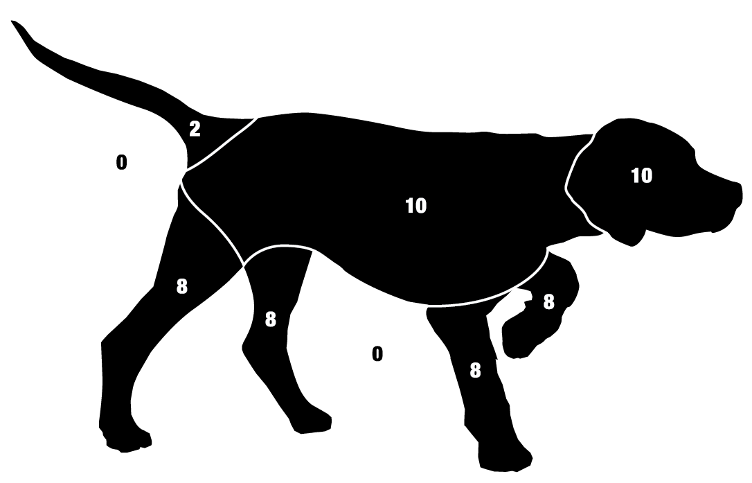 Pointer