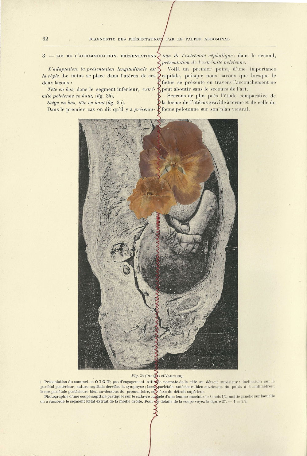 LUISA GONZÁLEZ-REICHE