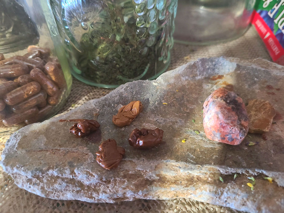 You can chew the gum for many days!