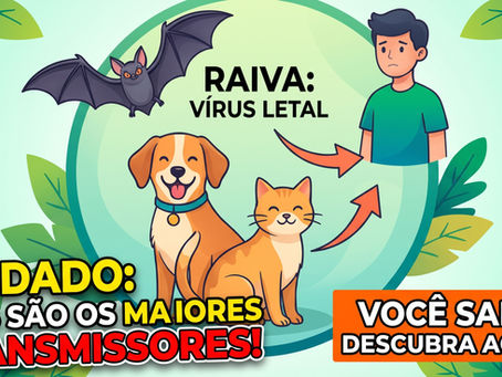 Raiva é Zoonose: Como Prevenir a Transmissão Entre Animais e Humanos