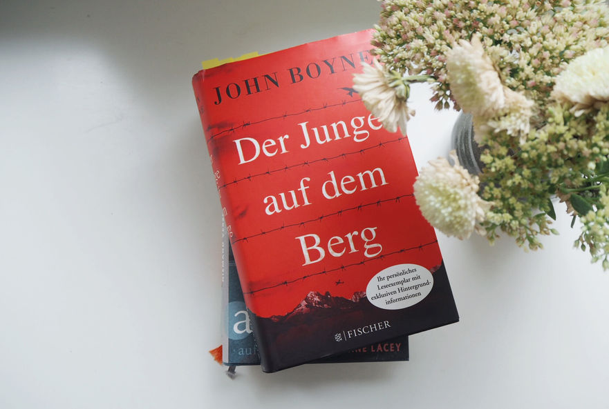 John Boyne: Der Junge auf dem Berg