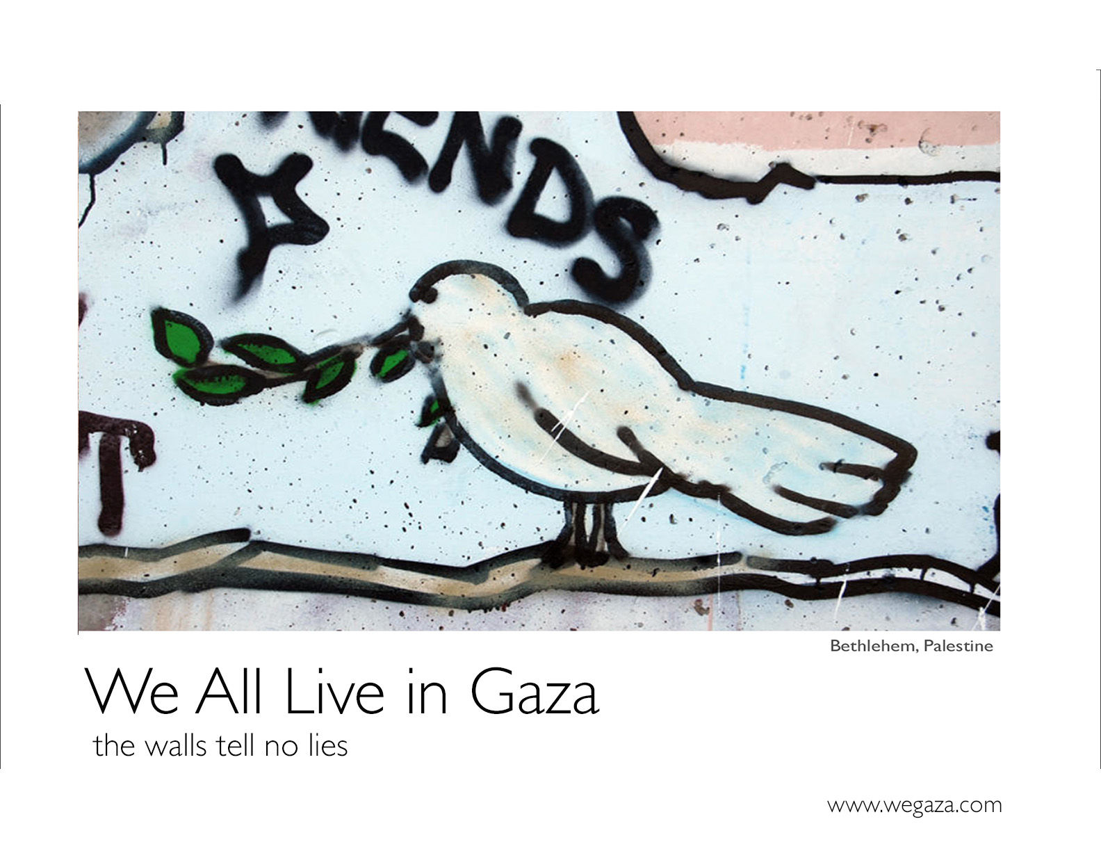 West Bank Poster Dove  18"x24"