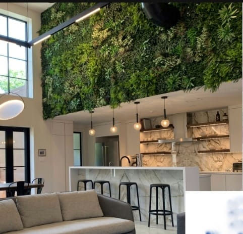 WhatsApp Image 2022-08-18 at 2.11.05 PM (1)