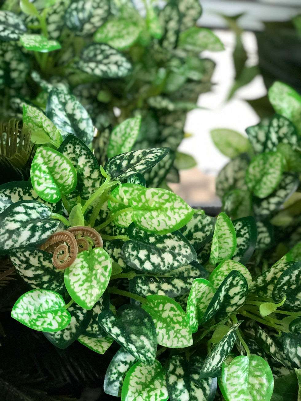 verde