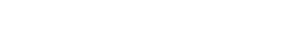 merritehw logo