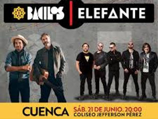 bacilo-elefante.jpeg