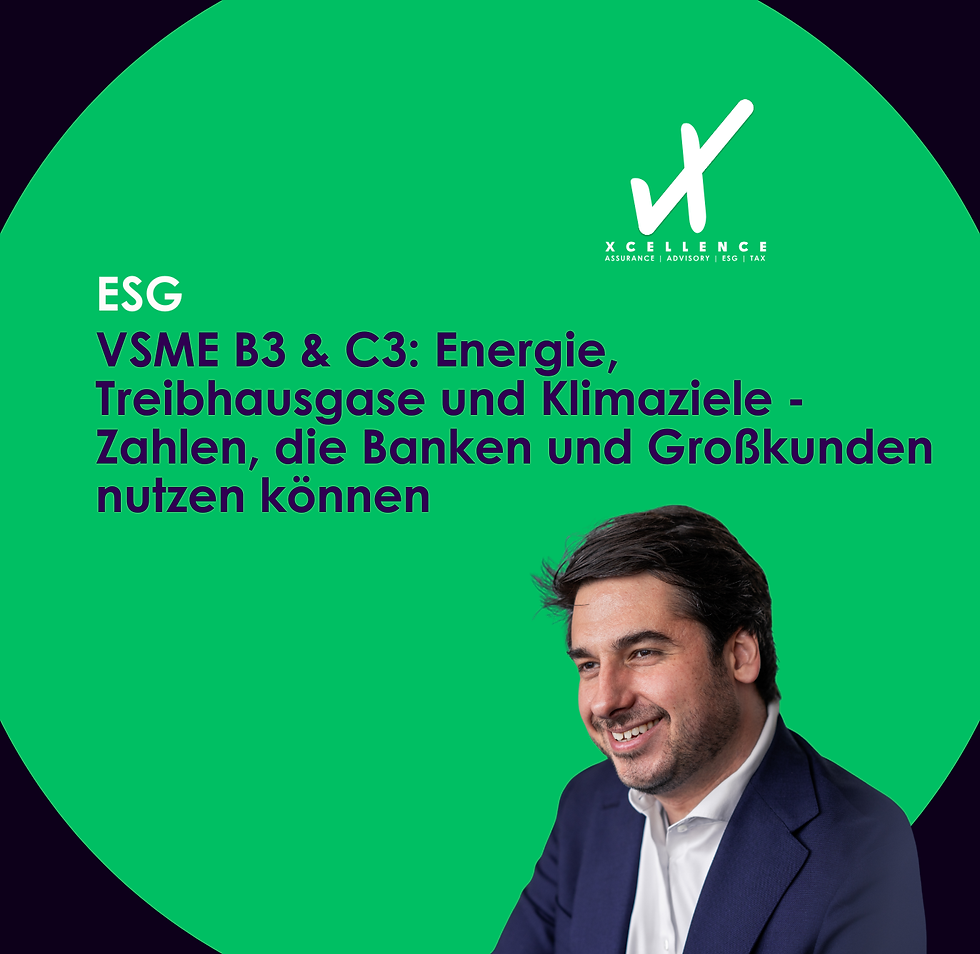 VSME - freiwilliger Nachhaltigkeitsstandard