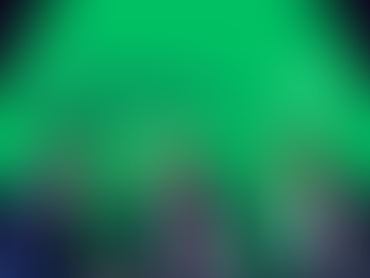 Audit Readiness Check