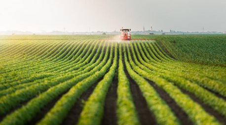 If you think that China is still a cheap food exporter, think again...