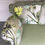 Thumbnail: ZITBANK SPRING
