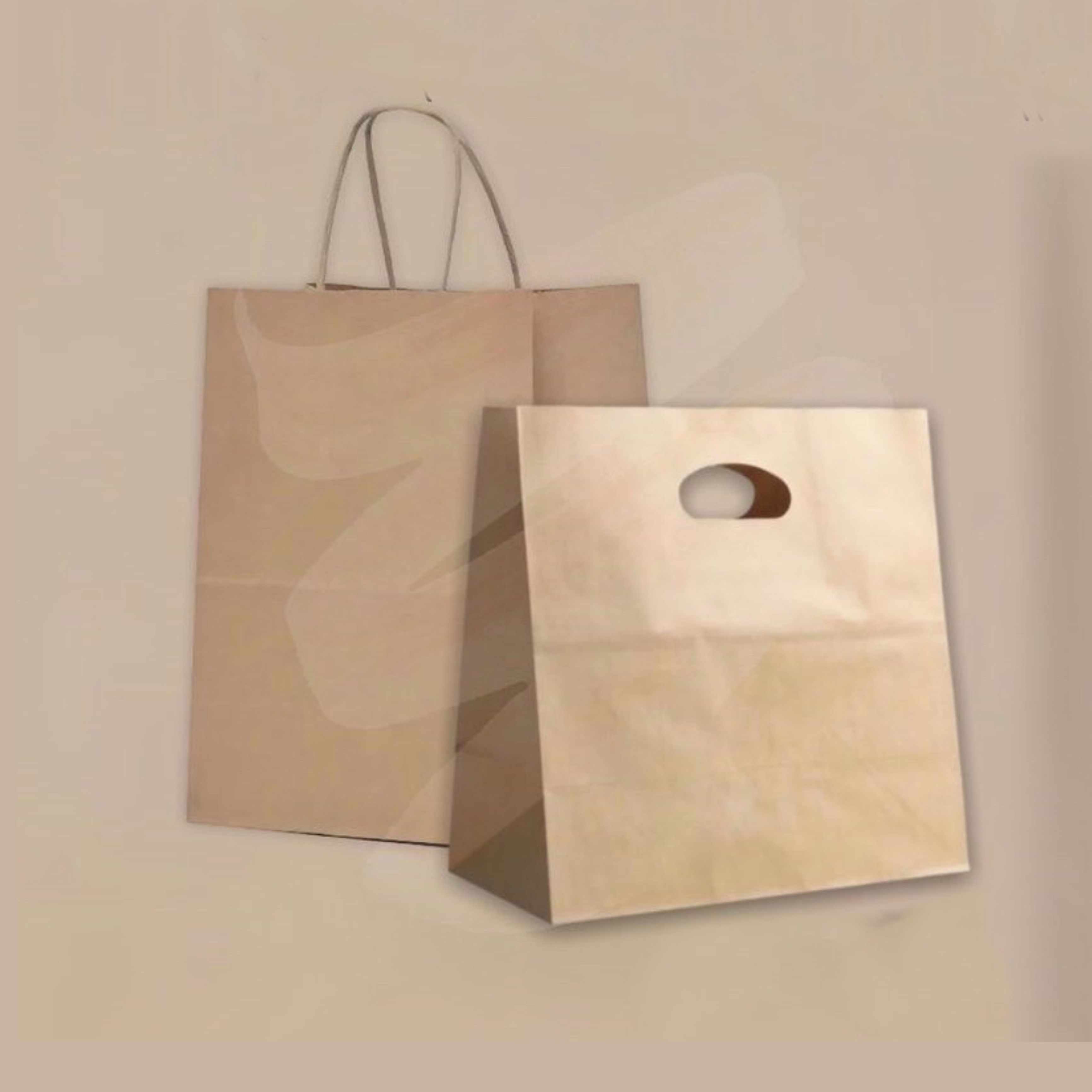 Bolsa kraft delivery N°4
