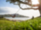 Thumbnail: A person swings on a rope tied to a tree, savoring the Surprise Kiwi Adventure overlooking a scenic beach and mountains.