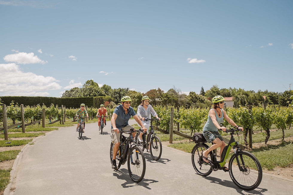 Thumbnail: A group of people wearing helmets ride bicycles on a paved path through a vineyard under a clear blue sky.