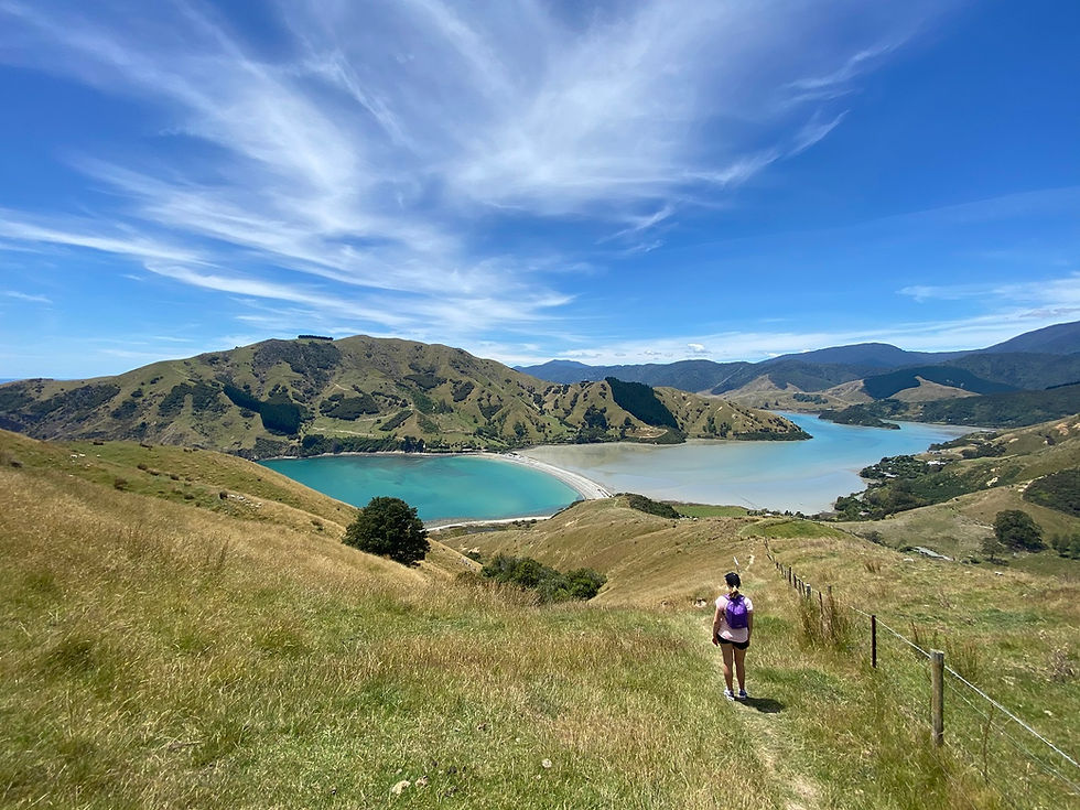 Thumbnail: A person wearing a backpack walks along a grassy trail overlooking two contrasting blue and turquoise bays.