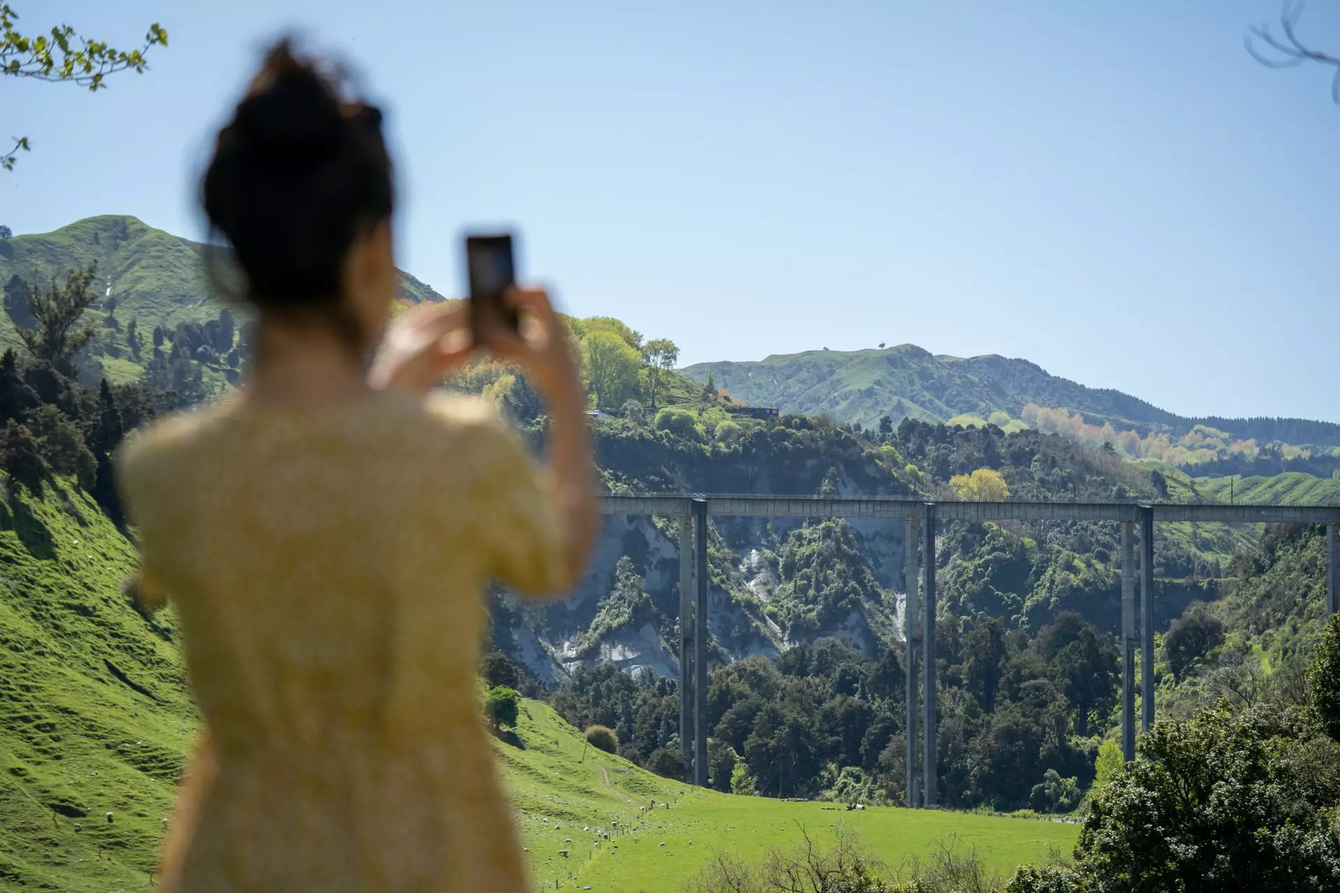 A woman taking a picture of a bridge, focusing on its architectural details, and the lush North Island landscape in New Zealand.