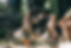 Maori-Culture-Experience-New-Zealand.webp