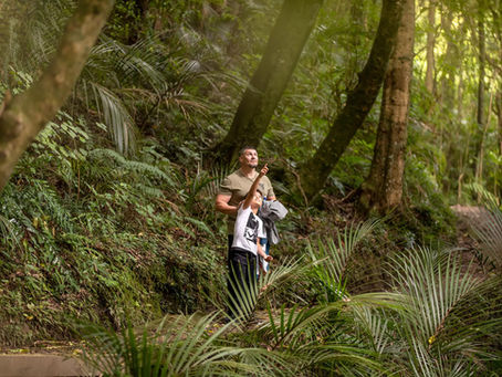 Father and son standing in a forest, both looking and pointing upward at something in the canopy, possibly a bird or tree.