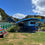 Thumbnail: The small blue fish and chips stand on Stewart Island features a colorful rainbow sign, enveloped by lush greenery.