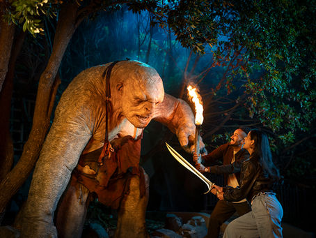 Lord of The Rings Fan vs non-Fan: Striking the Perfect Balance in New Zealand