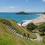 Thumbnail: People hike up a grassy hill via stone steps, overlooking a sandy beach in New Zealands Bay of Plenty, with turquoise water.